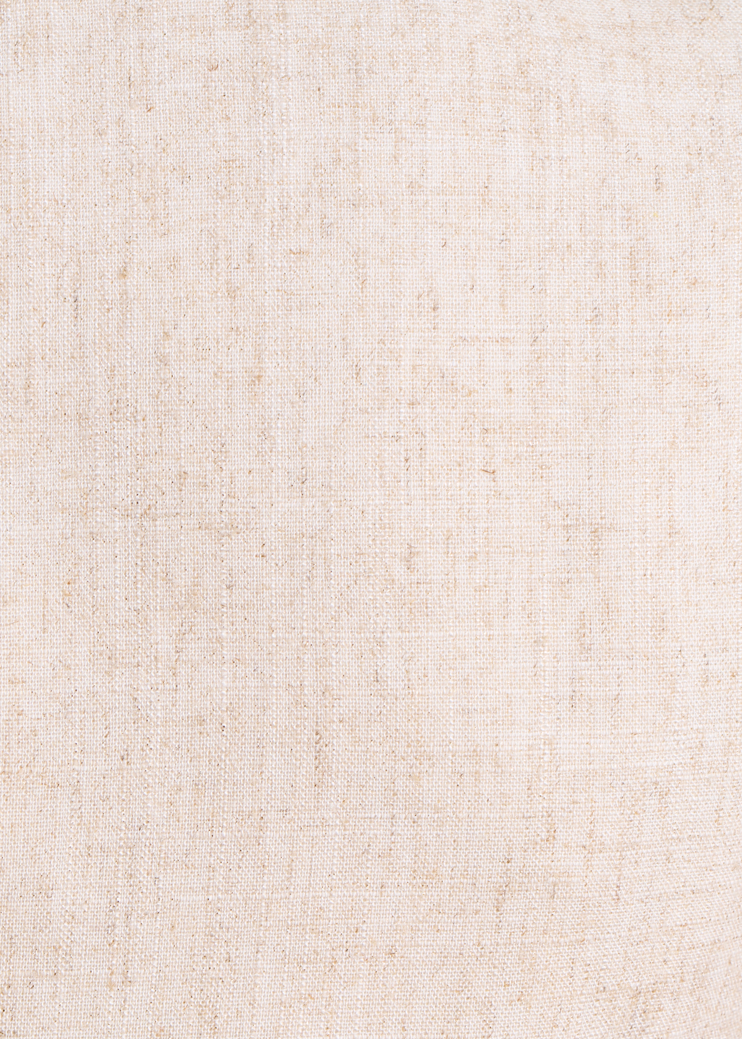 Chaleco beige iridiscente sin mangas