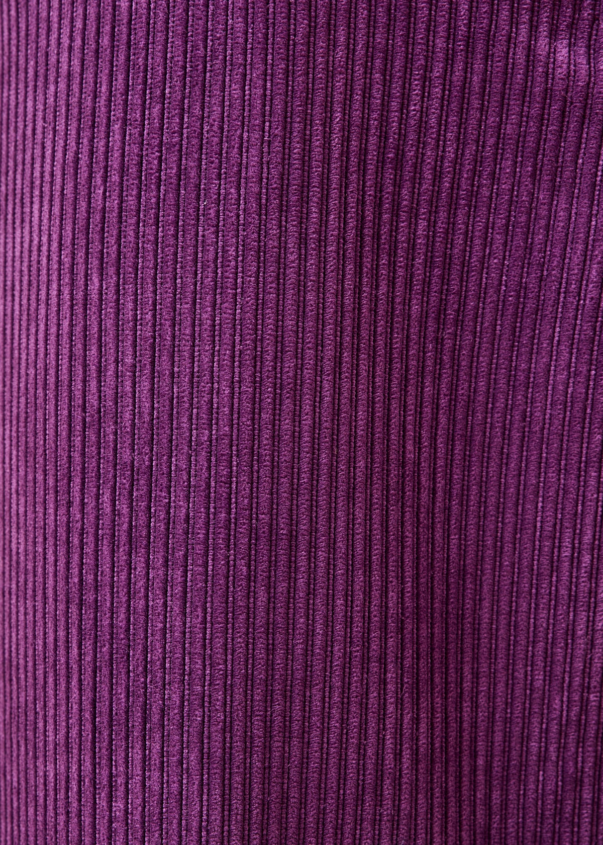Pantaloni viola - Zander