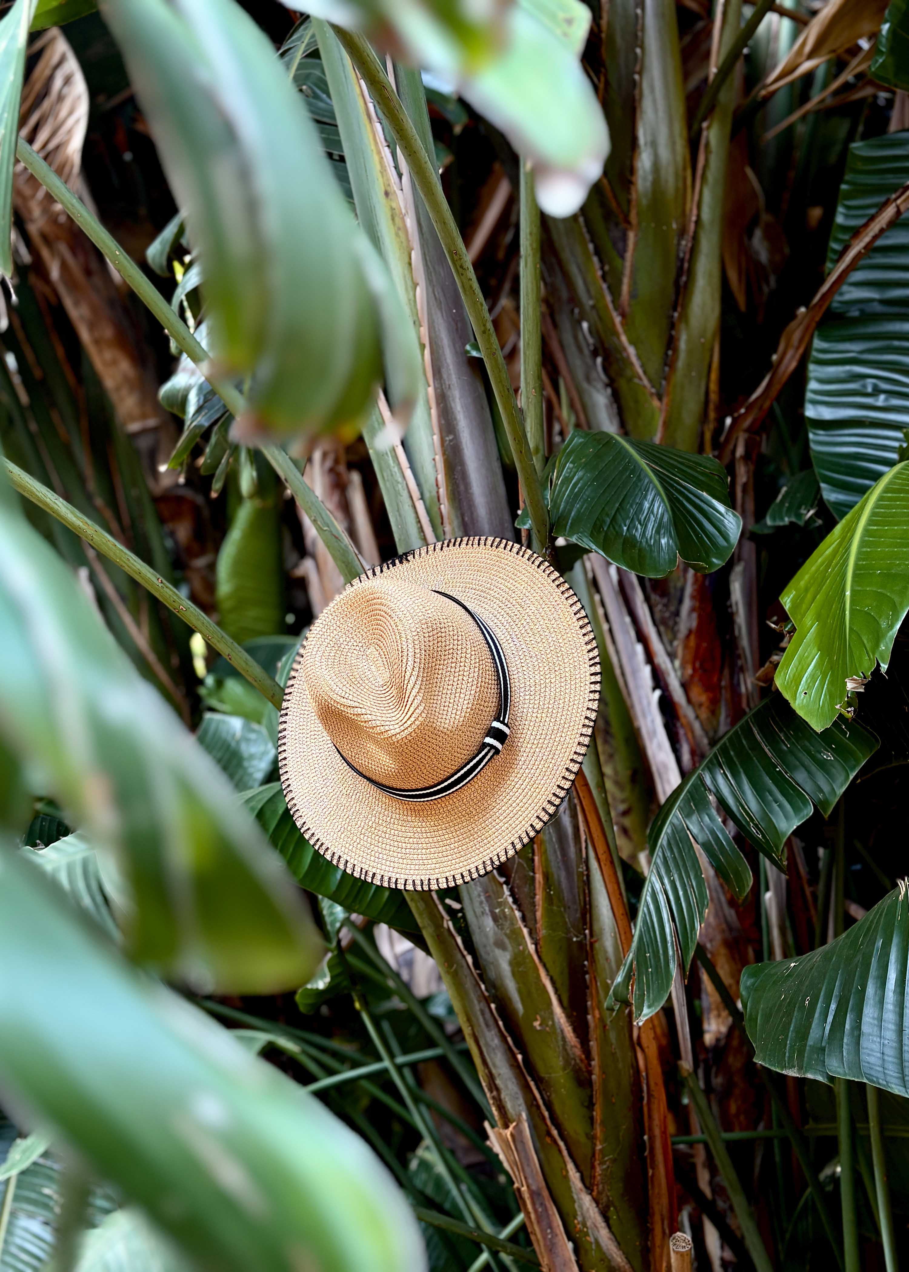 Straw hat with removable ribbon