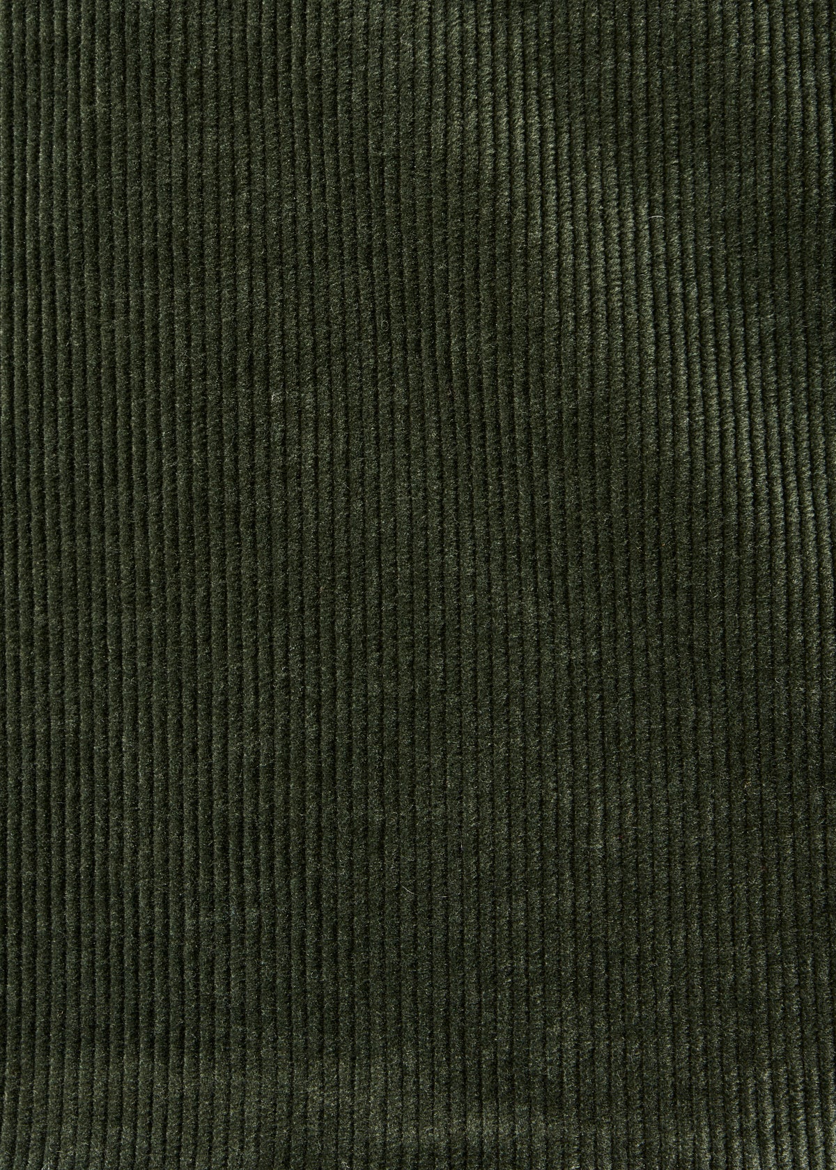 Veste kaki - Daphne